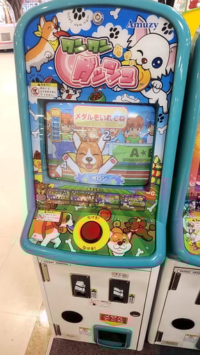 ワンワンダッシュ